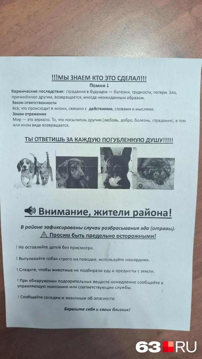 Как в Самаре зоорадикалы пытаются запугать местных жителей