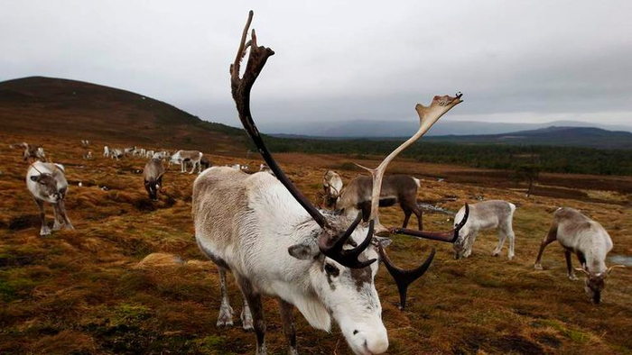   ,         .   ,    ,    .