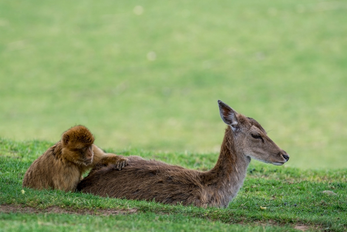 Не забывайте следить за автомобилем: проводите техобслуживание и заменяйте расходники своевременно!