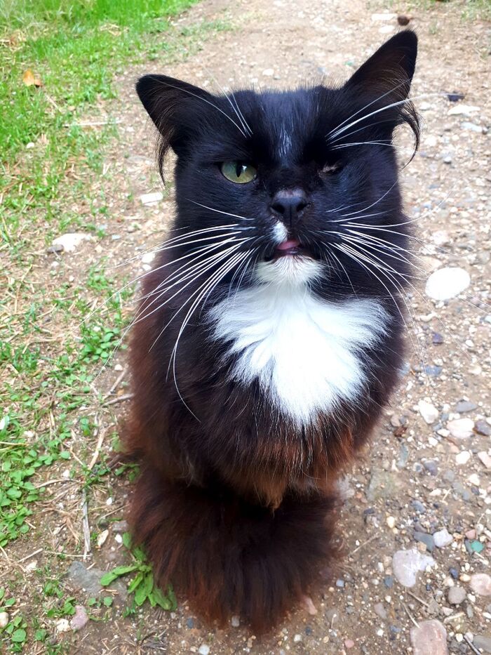 !    !    .    -  !!! 