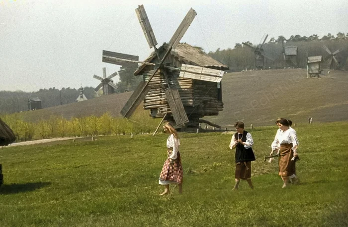 Фотограф: Б. Артюшенко Фотограф: Б. Артюшенко