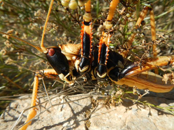 А можно мне такого же крутого дизайнера, чтобы подобрал мне одежду?