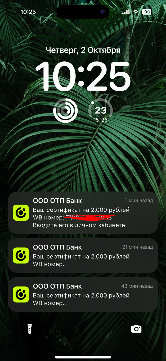 Бесплатный сертификат WB в 2000 рублей! Октябрь 2025