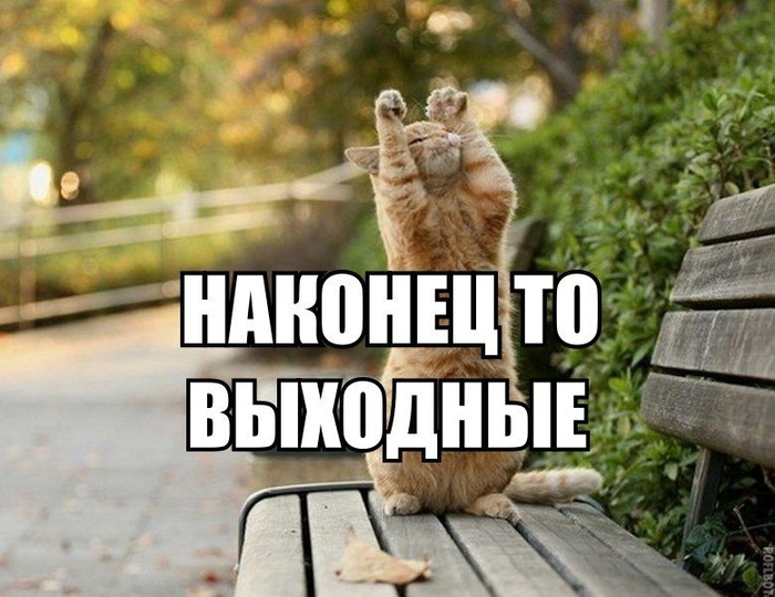 Всем удачных выходных