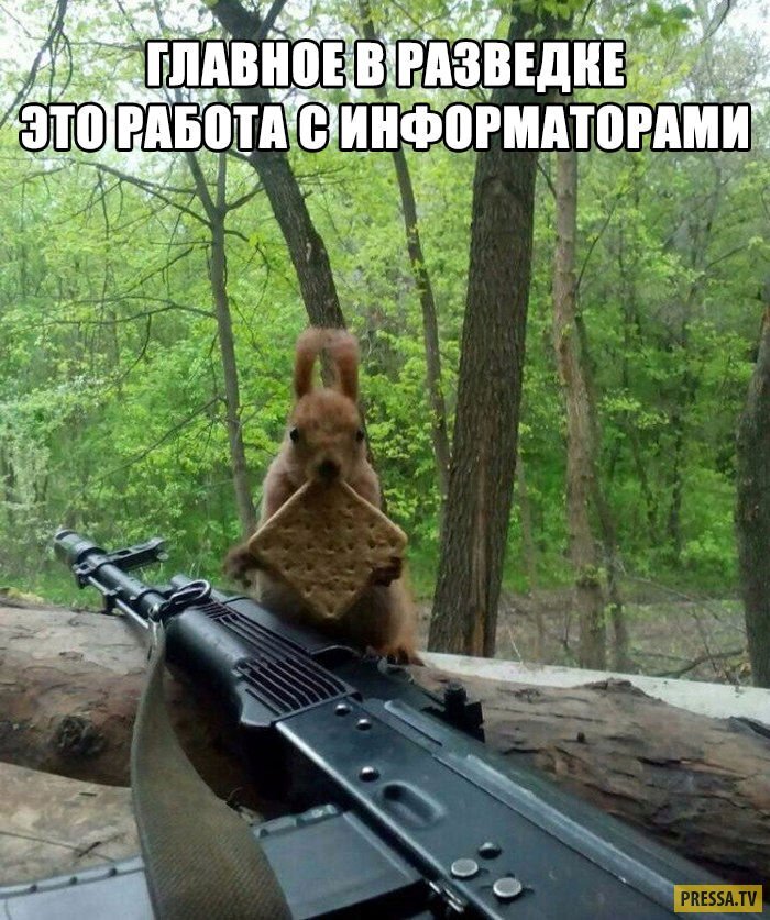 Старая картинка