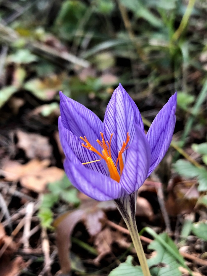 Фото К. Красивой.