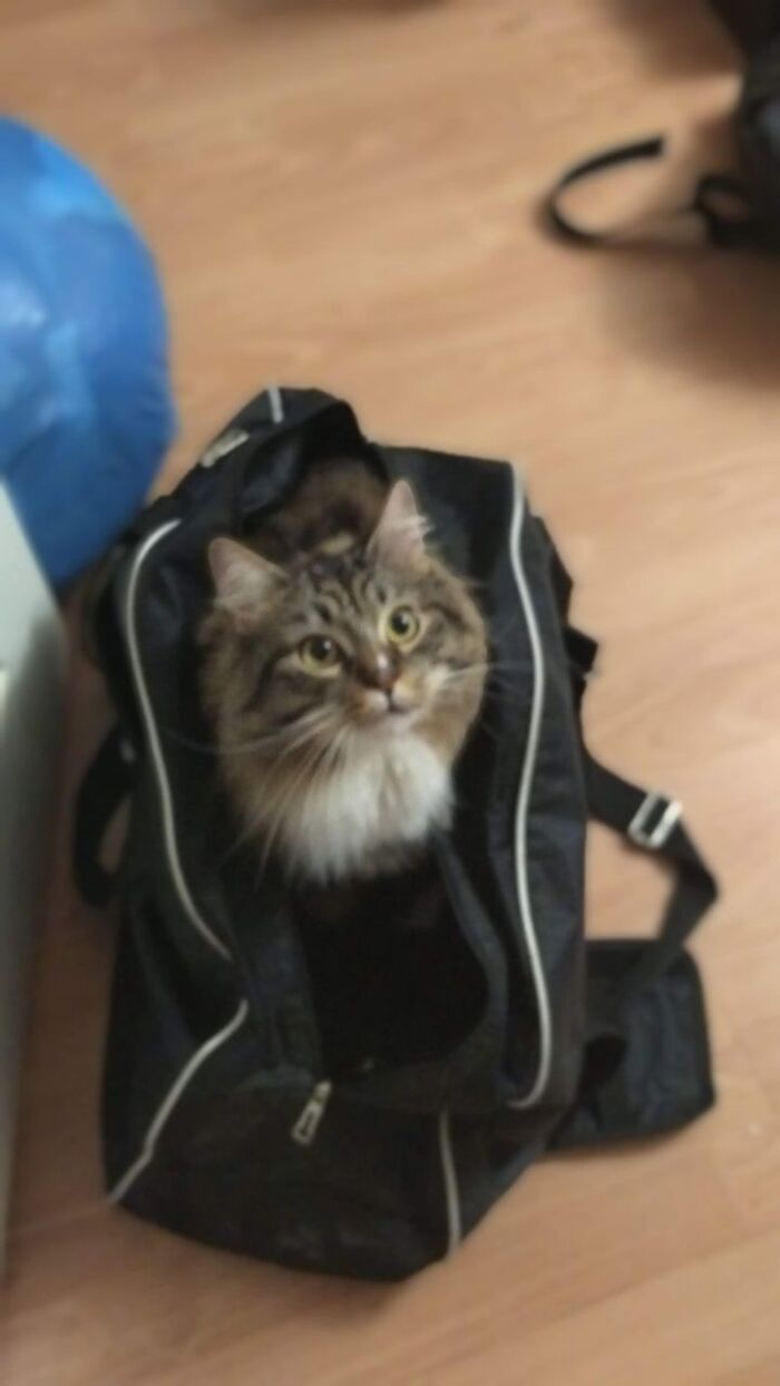 Можно я с тобой))+1