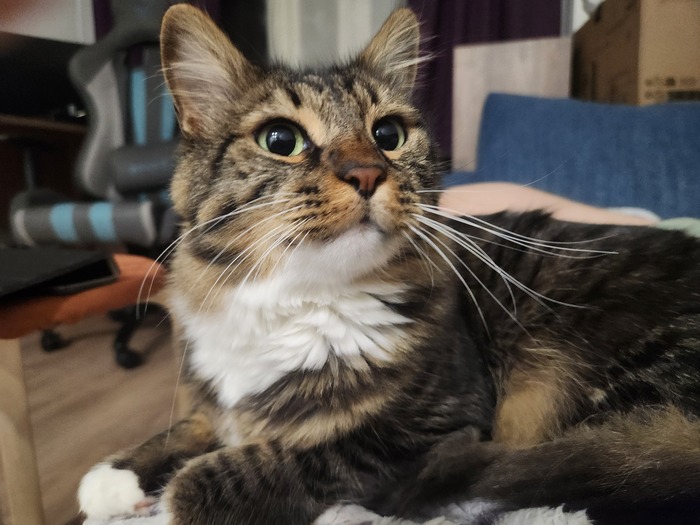 Ежедневный Рислинг #70