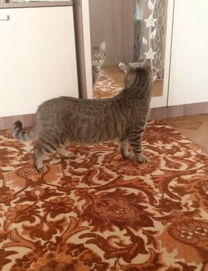 "Это что за зверь???"