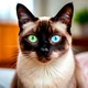 ������ ������������ user11206397