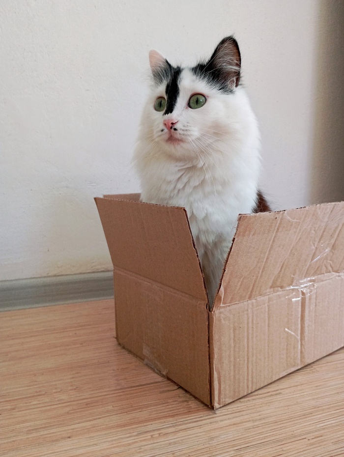 Вам подарок