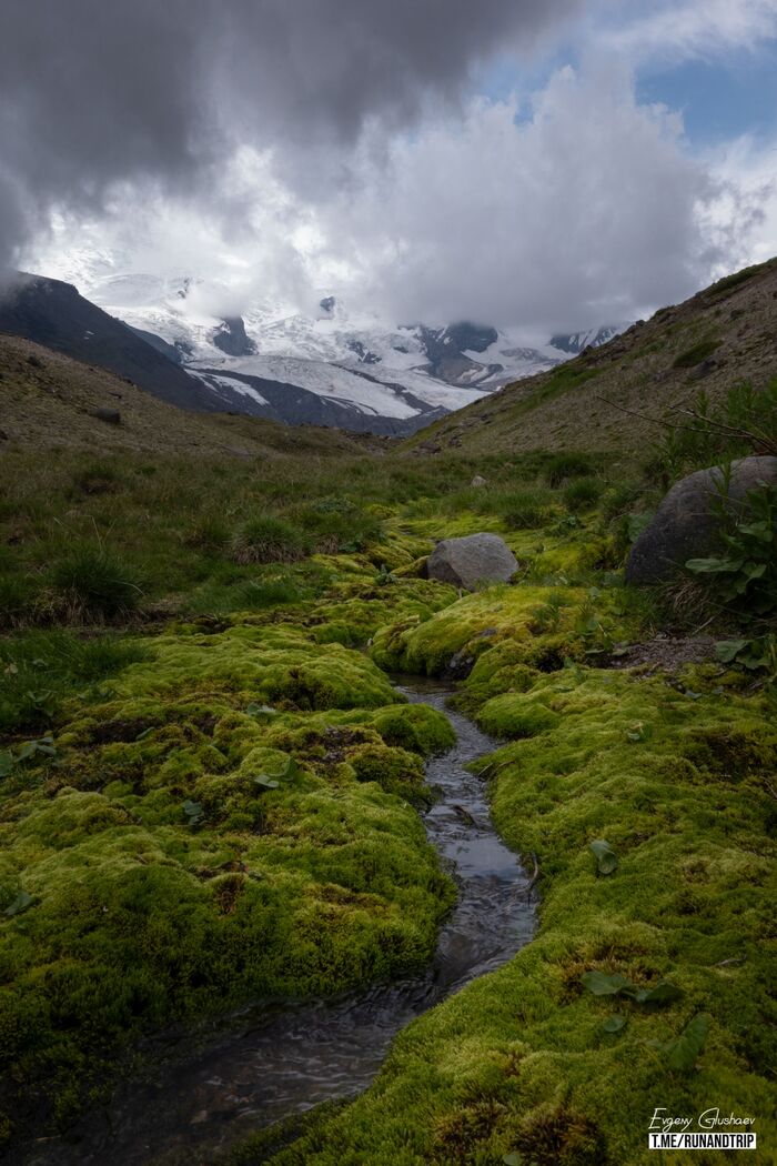 ������ ������