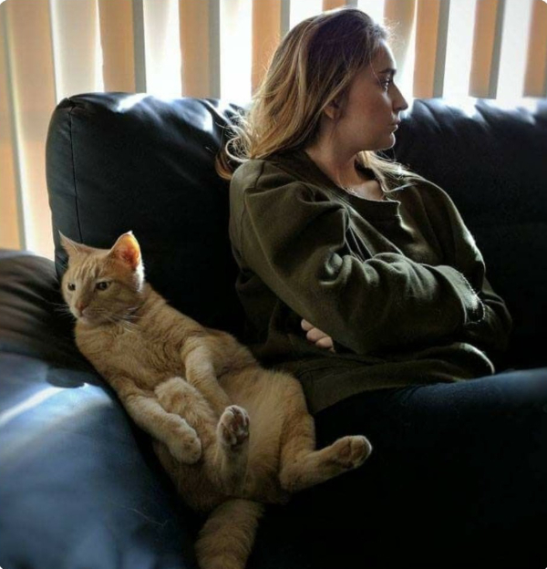 � ���������� ���������� by Fluffy animals