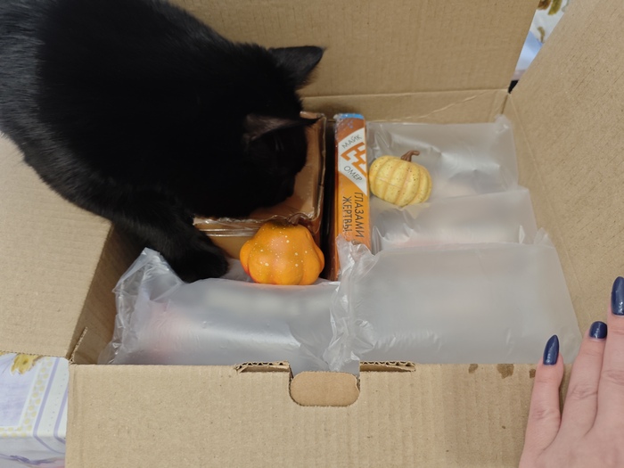 Помошник помогает