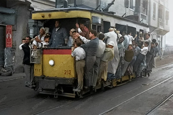 Фотограф: Франк Хорват Фотограф: Франк Хорват