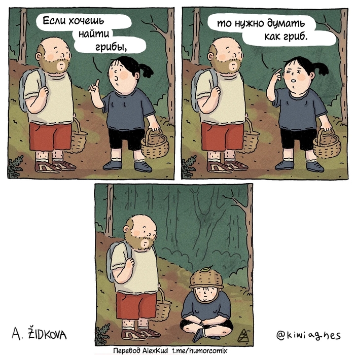     ,     -   ?