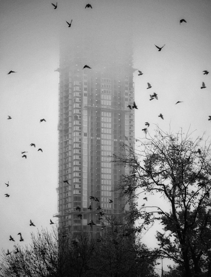 Похож на обман