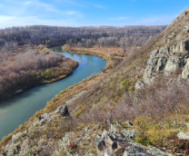 ������ ������������ ���