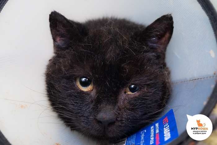  , 3 ,   .  .        - .  ,              .