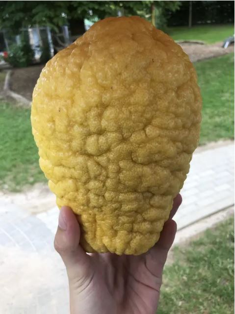   &quot;&quot;:)
