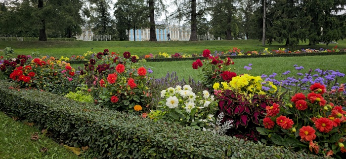 ������� � ������ ���� � ����� �� ������