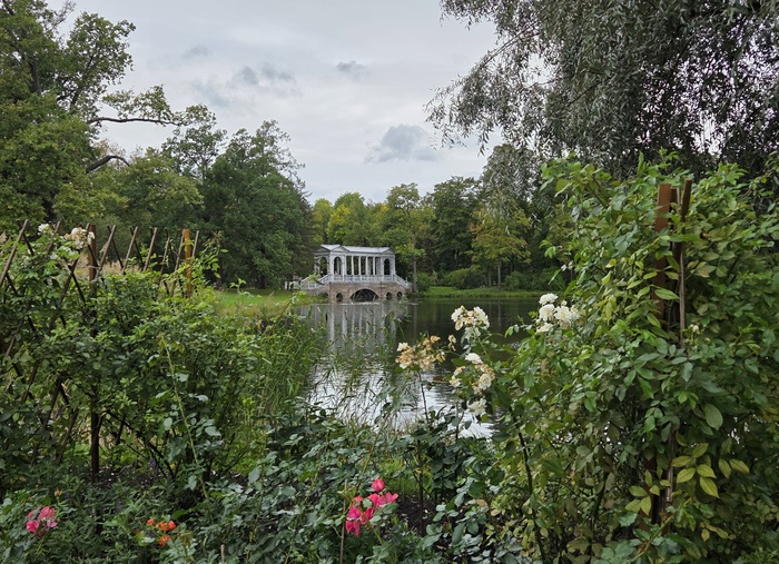 ��� �� ��������� (��� ���������) ���� �� ������� �������� ����