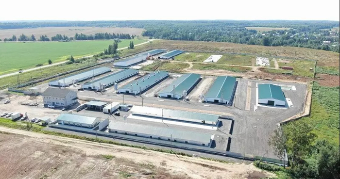  <!--noindex--><a href="https://pikabu.ru/story/novyie_predpriyatiya_apk_i_pishchevoy_promyishlennosti_v_sentyabre_2025_goda_13261868?u=http%3A%2F%2Fmeat-expert.ru&t=meat-expert.ru&h=bc819ecf37c59cd523db2415e7a73a6eeb6e63e2" title="http://meat-expert.ru" target="_blank" rel="nofollow noopener">meat-expert.ru</a><!--/noindex-->