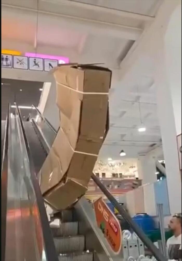 Глава DNS сообщил, что покупателю вернули деньги за разбитый телевизор