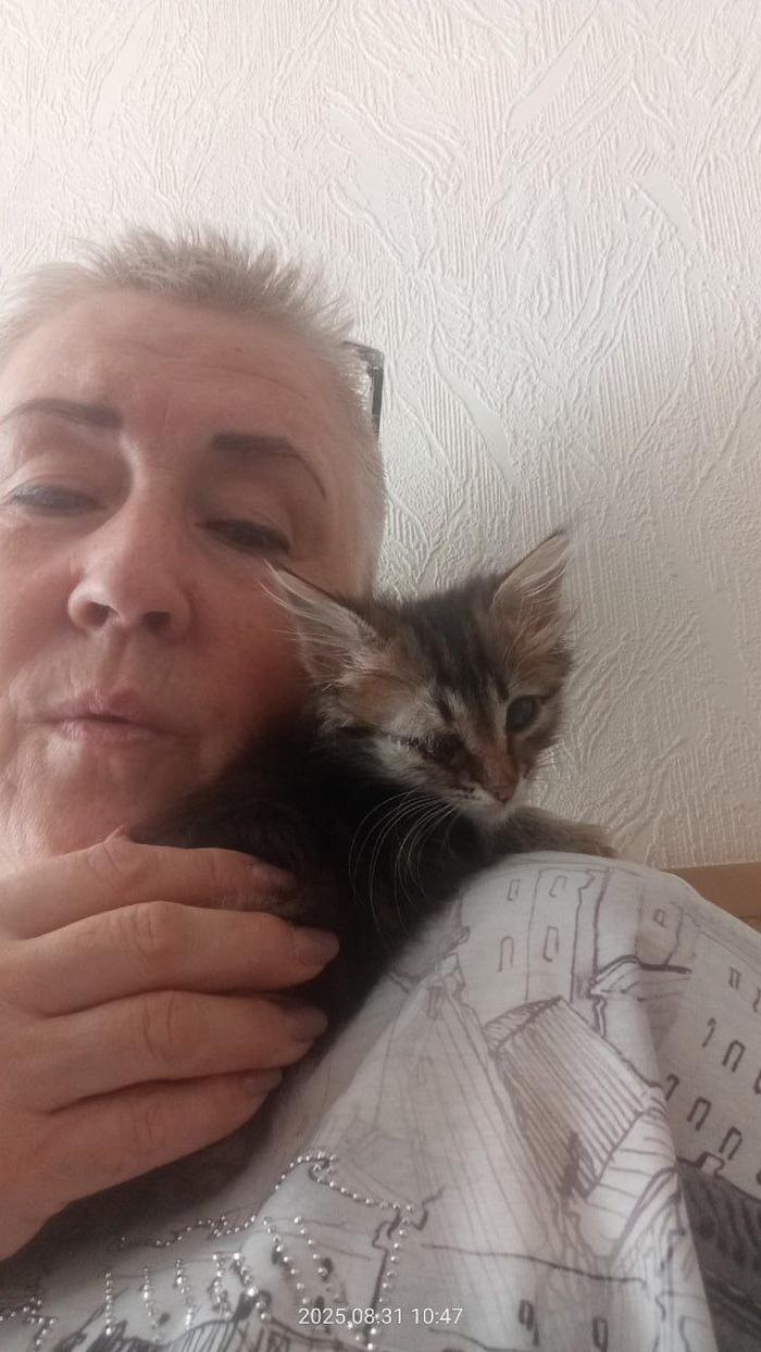 ,    ,       &quot; &quot;  , 