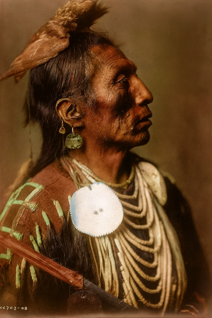 Автор: Эдвард Шериф Кёртис