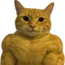khovaGD