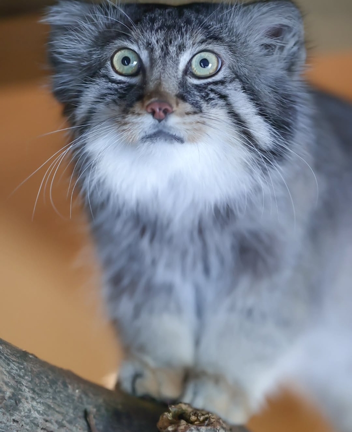 На какую ещё работу?