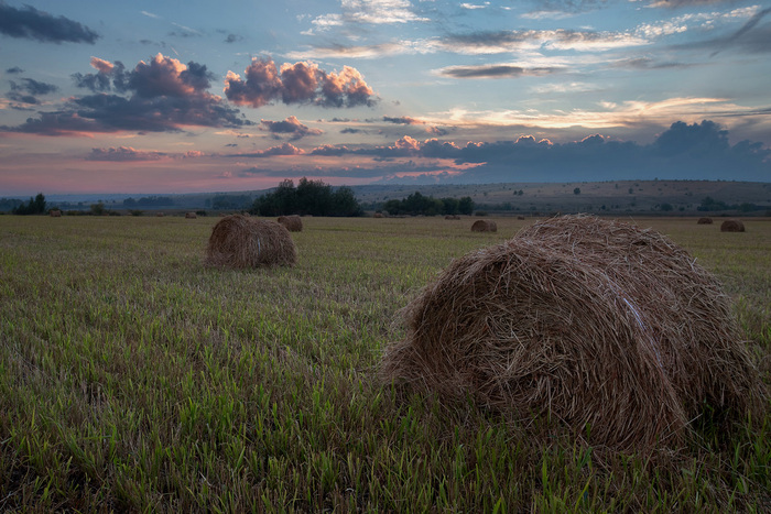        ,    ,   ,                .