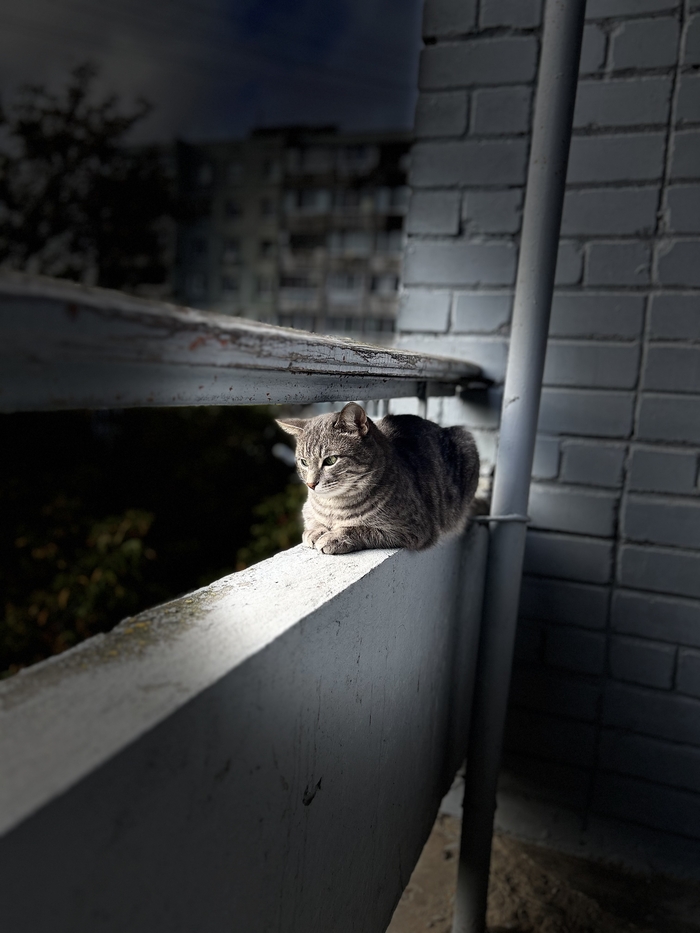 Подскажите плииииз…