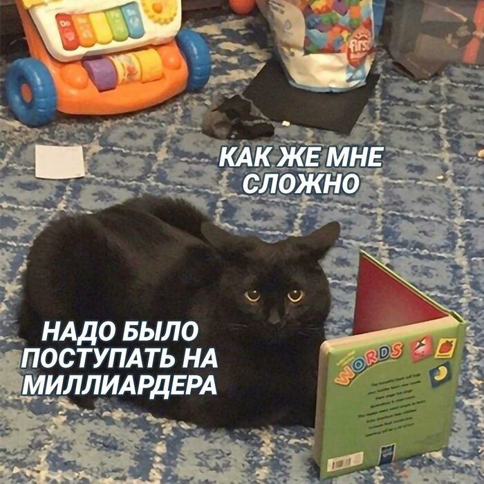Криштиану Роналду стал первым футболистом на планете с состоянием в миллиард долларов