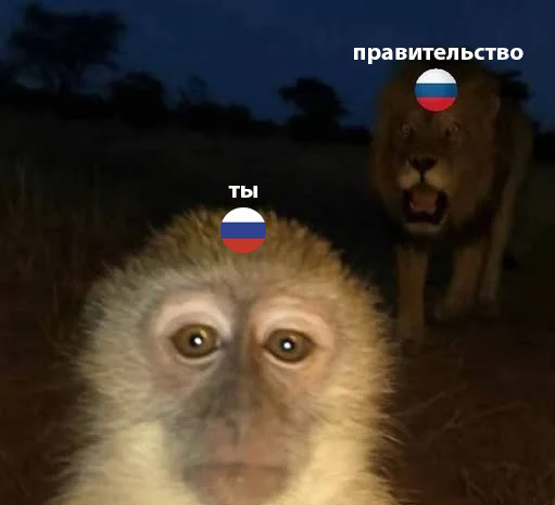 <a href="https://pikabu.ru/story/otvet_na_post_korotko_o_situatsii_v_mire__13267507?u=https%3A%2F%2Fpikabu.ru%2Fstory%2Fkorotko_o_situatsii_v_mire__13266599&t=%D0%9A%D0%BE%D1%80%D0%BE%D1%82%D0%BA%D0%BE%20%D0%BE%20%D1%81%D0%B8%D1%82%D1%83%D0%B0%D1%86%D0%B8%D0%B8%20%D0%B2%20%D0%BC%D0%B8%D1%80%D0%B5%20%29%29&h=e7d44095909cd1d345b235cb0e3a92060740fe4f" title="https://pikabu.ru/story/korotko_o_situatsii_v_mire__13266599" target="_blank">     ))</a>