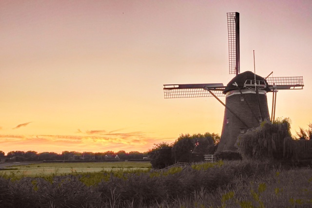    .    ,   ,      .         . 