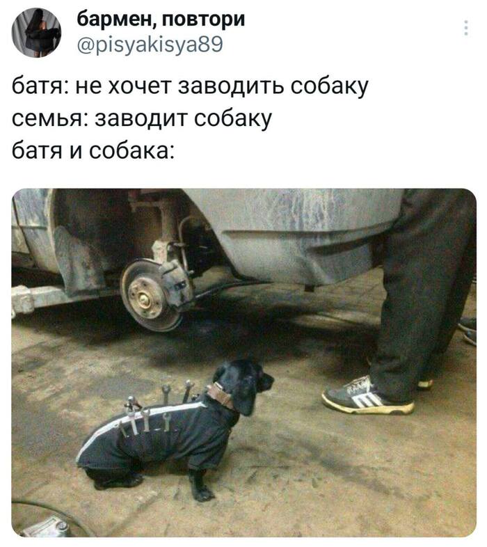 Пригодилась