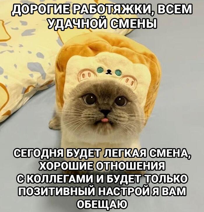     !  