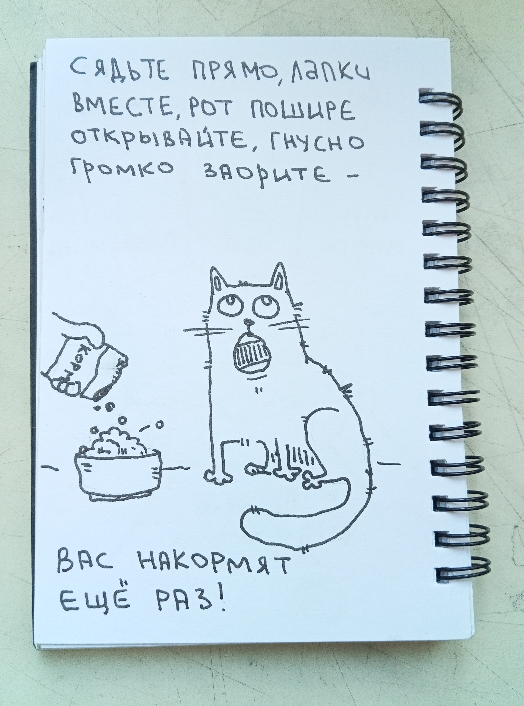 3zmuxjoo_lg.jpg