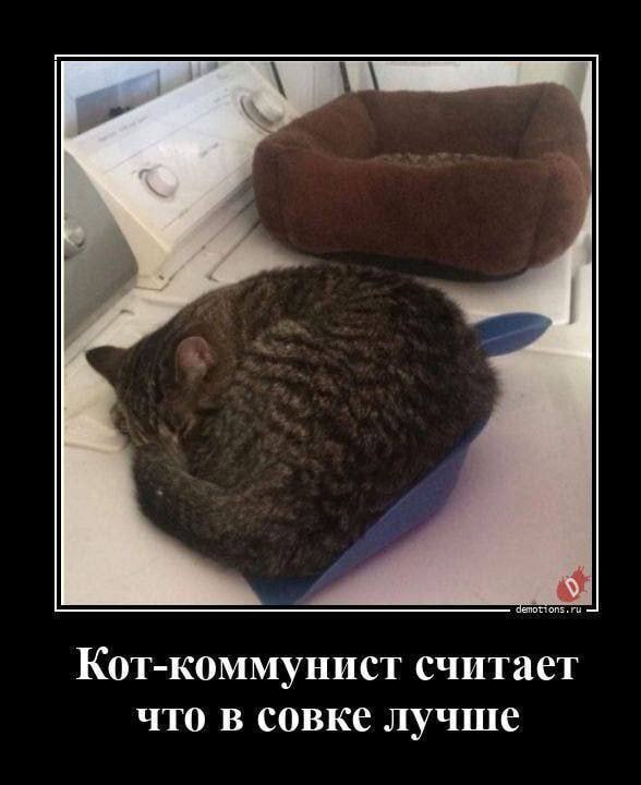 Совок хороший попался