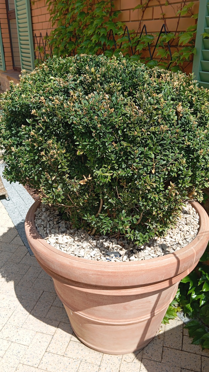 ������. ������ ������)