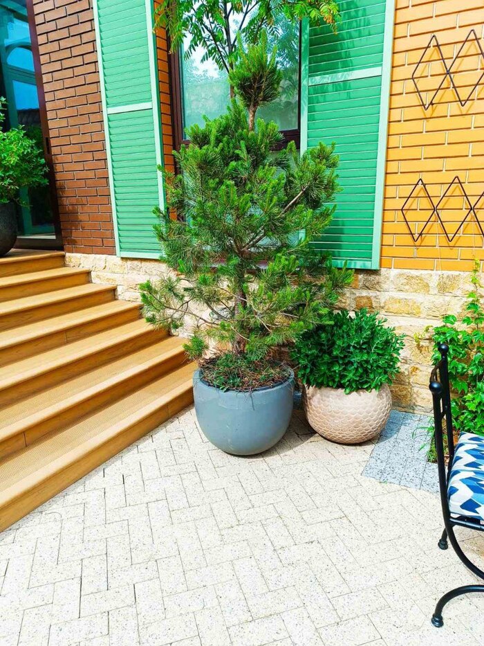 � ��� ����� ������, � ������ ��� � ���������� ��������)