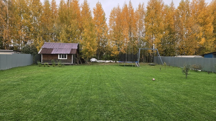 , , ,   .    ,     .      ,    .   ,  ...