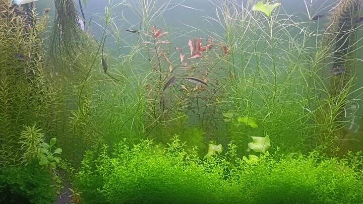 ������������