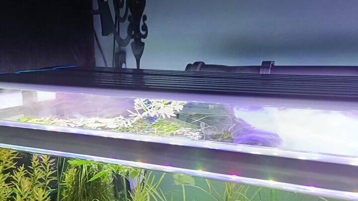 ������������