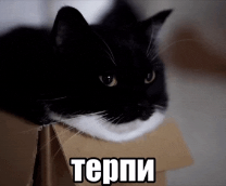 ������� ���������� �����������