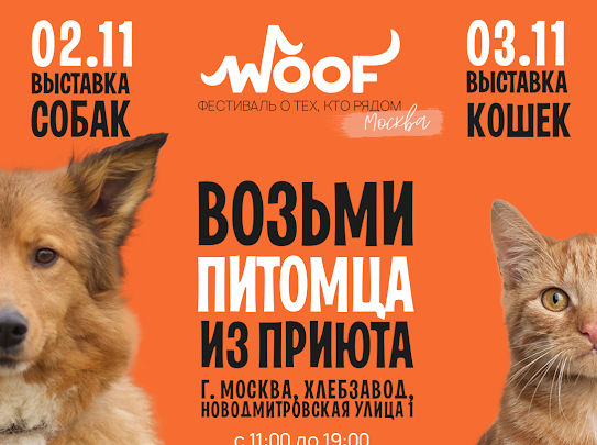 ВОЗЬМИ ПИТОМЦА ИЗ ПРИЮТА