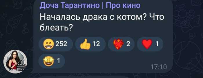 Кот защитник