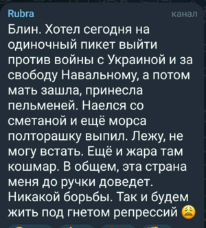 Школьник-оппозиционер